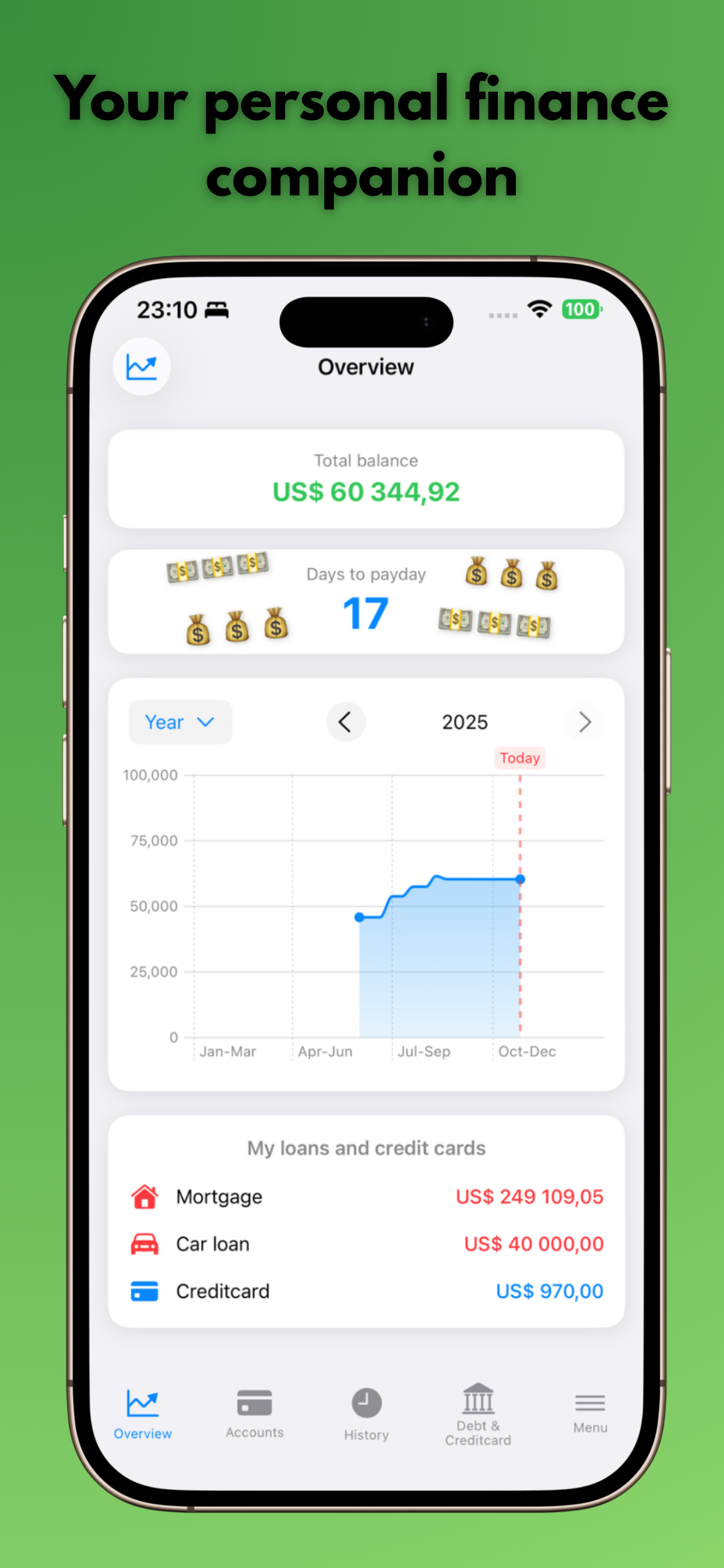 App dashboard showing balance overview