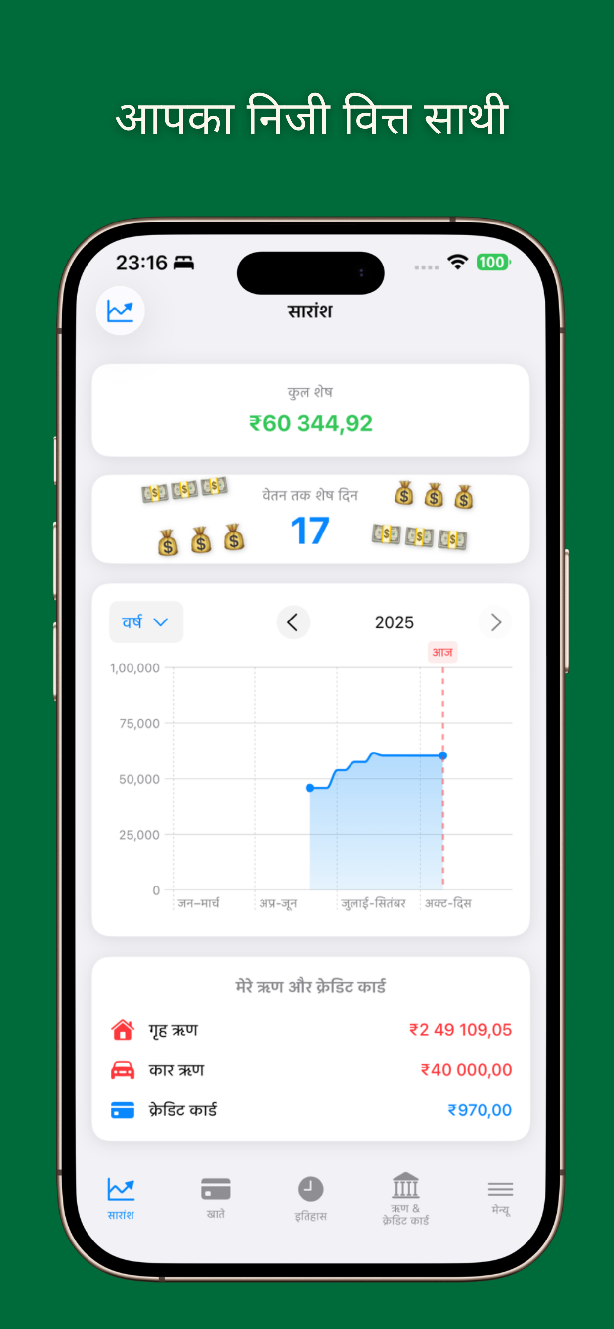 App dashboard showing balance overview